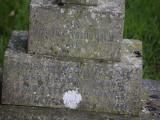 image of grave number 807801